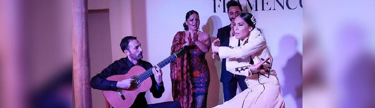 Casa del Arte Flamenco: Traditional Dance in Granada